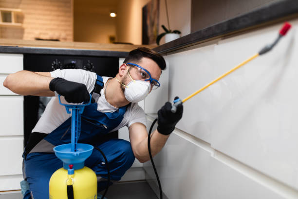 Best Mosquito Control Services  in Cumberland Head, NY