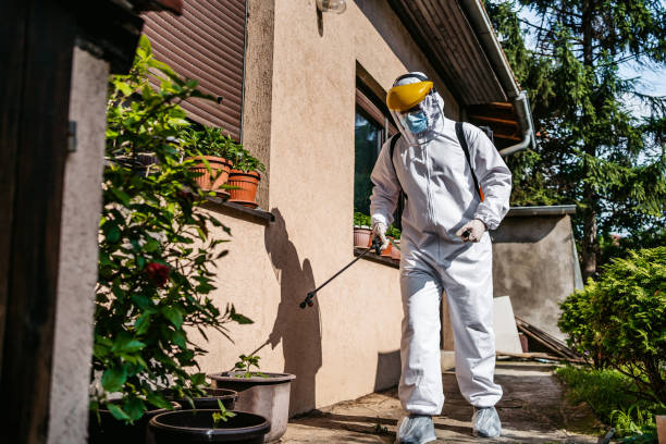 Best Local Pest Control Services  in Cumberland Head, NY