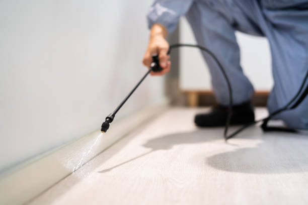 Best Commercial Pest Control Services  in Cumberland Head, NY