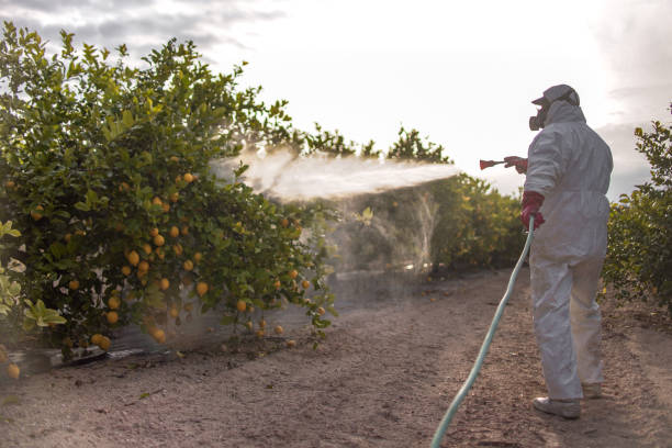 Best Cockroach Control Services  in Cumberland Head, NY