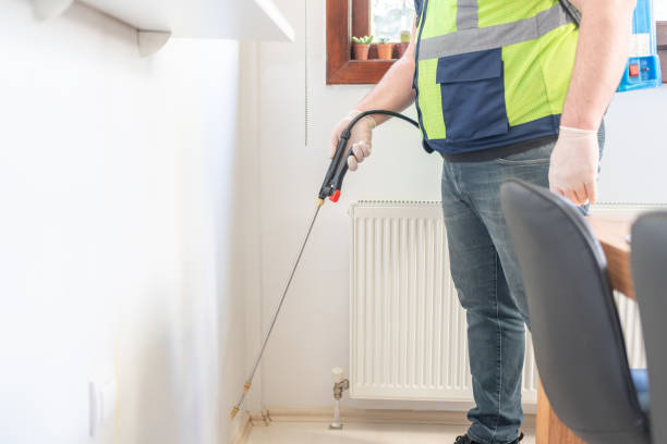 Best Termite Control Services  in Cumberland Head, NY