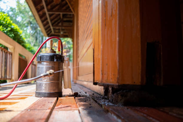 Pest Control Cost in Cumberland Head, NY